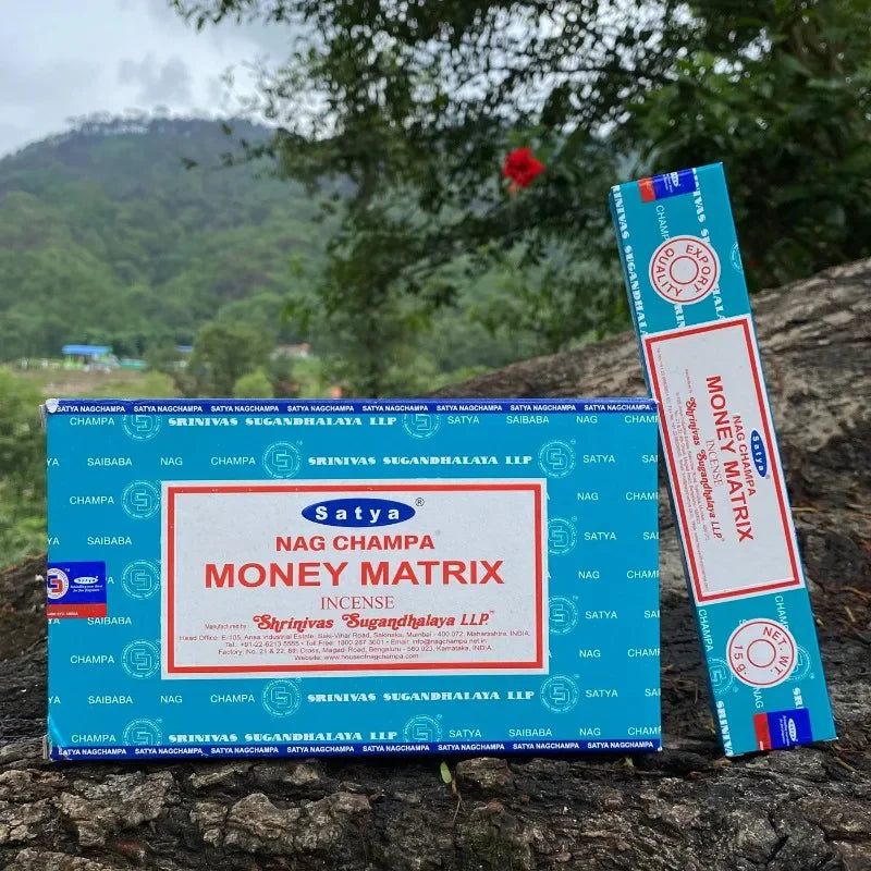MONEY MATRIX