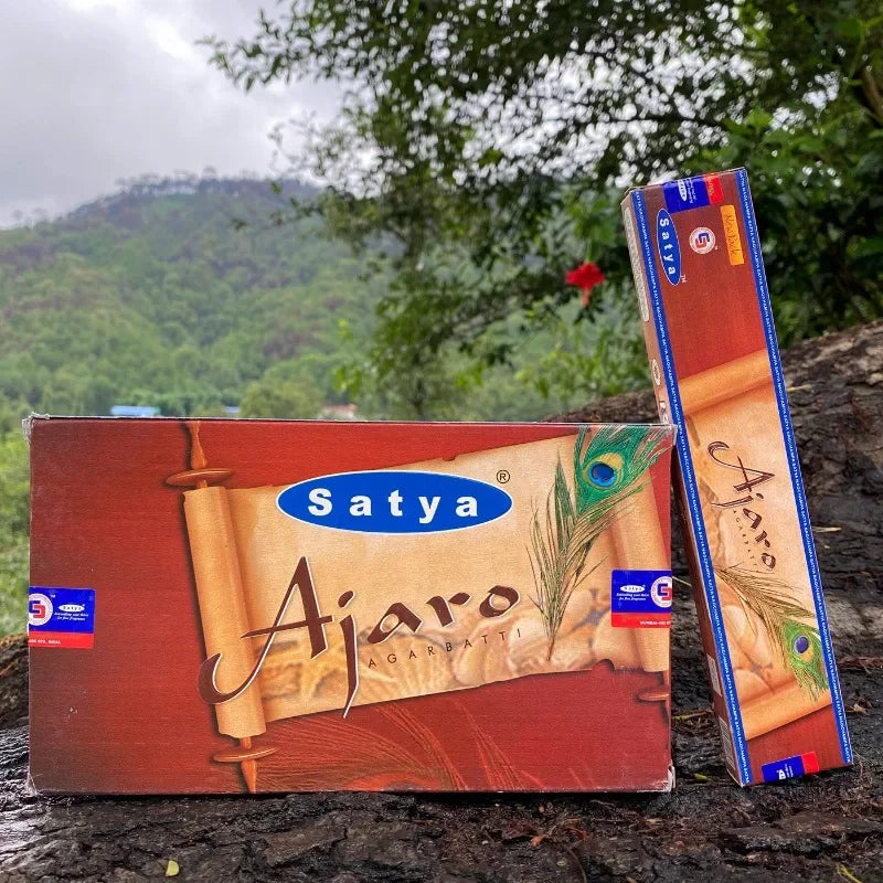 Incense Sticks: White Sage Sandalwood Incense - Clean Air, Handmade in India