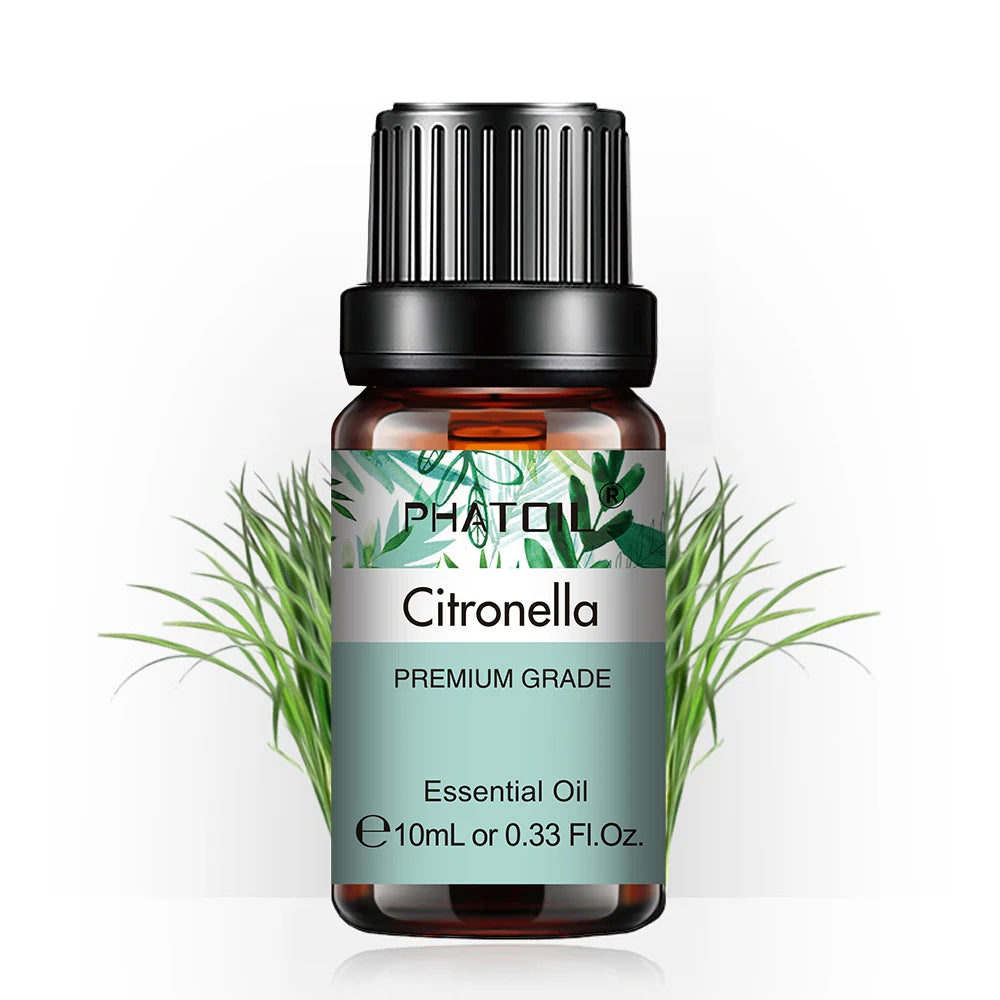 Citronella