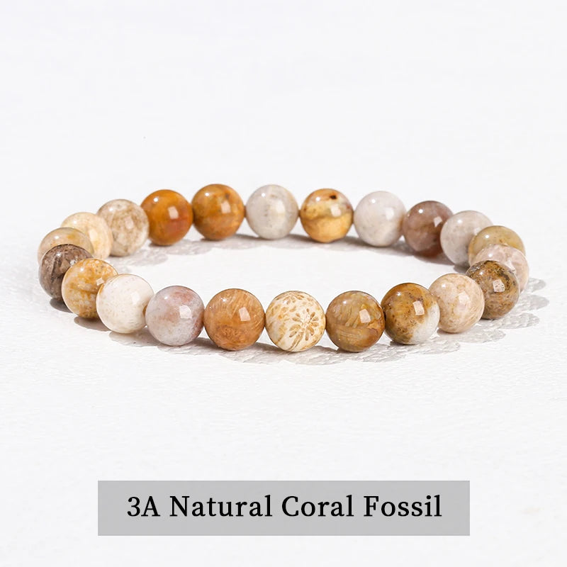 Coral Fossil