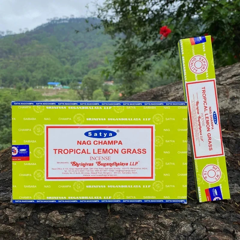 Incense Sticks: White Sage Sandalwood Incense - Clean Air, Handmade in India